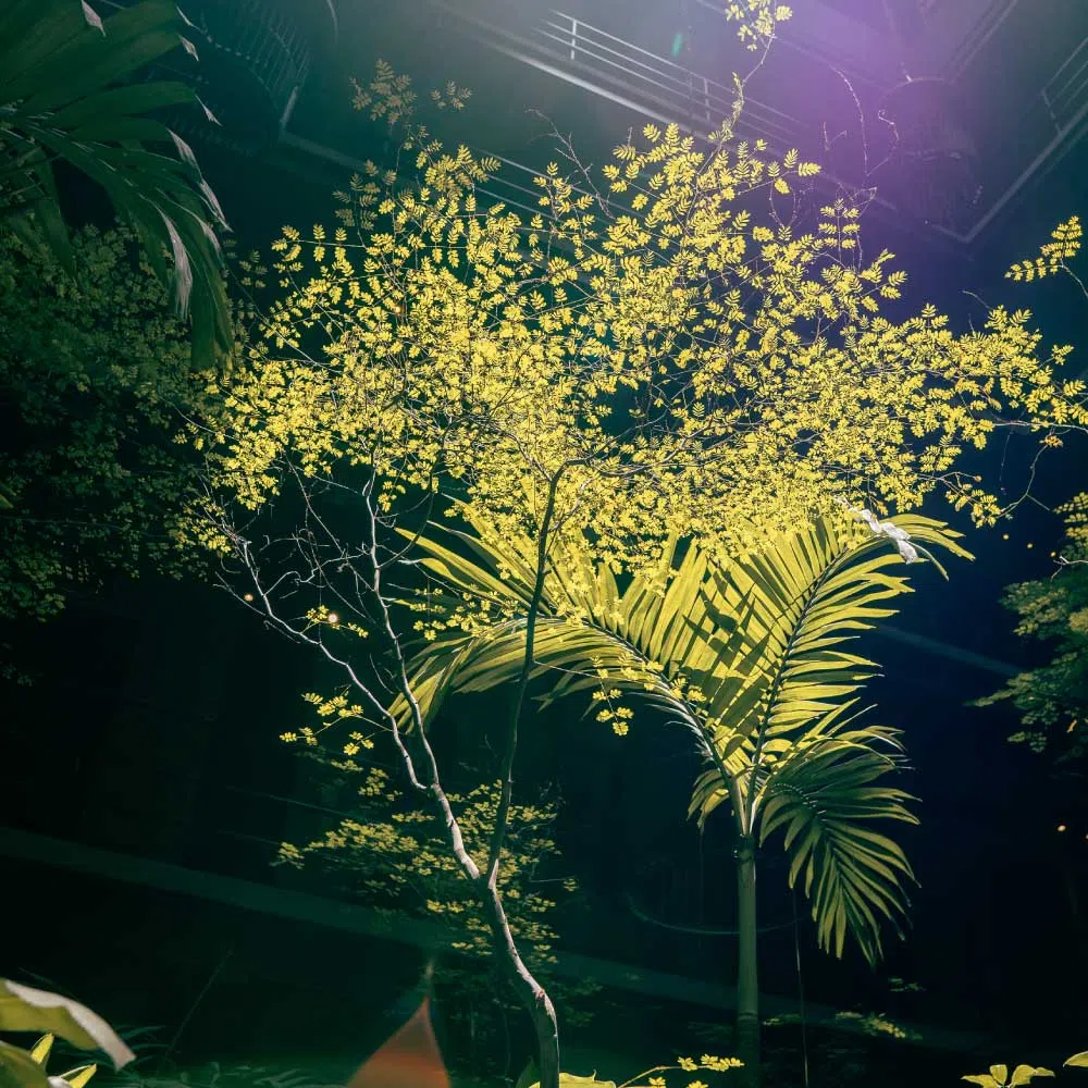 The Up Garden Rooftop - The Art Hotel