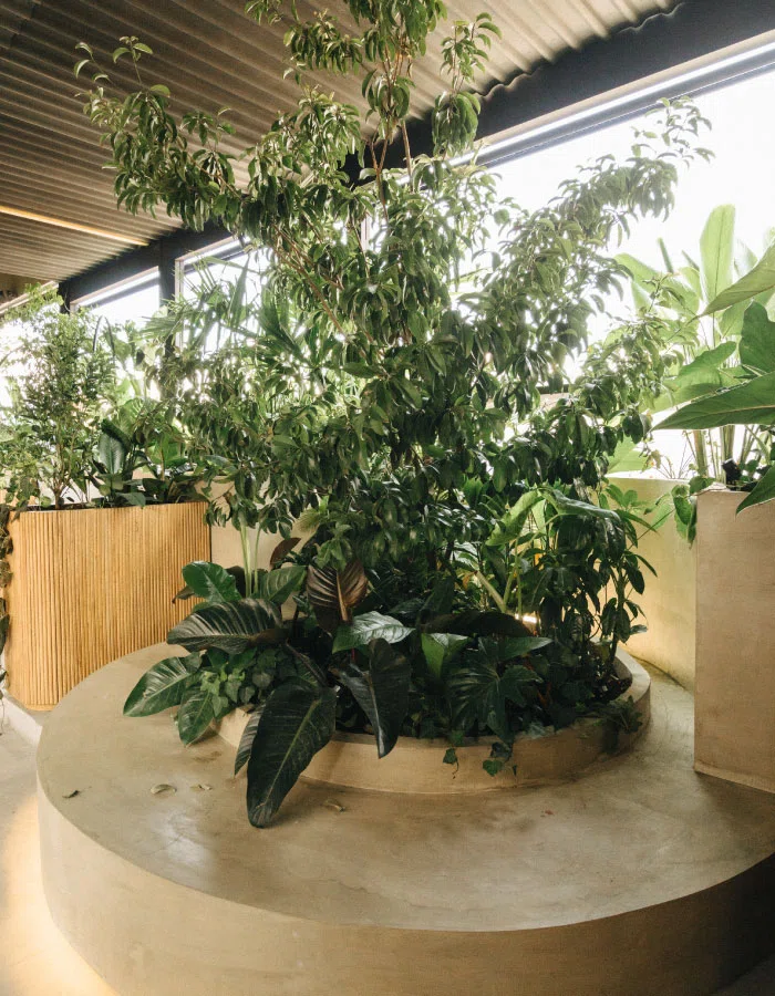 The Up Garden Rooftop - The Art Hotel