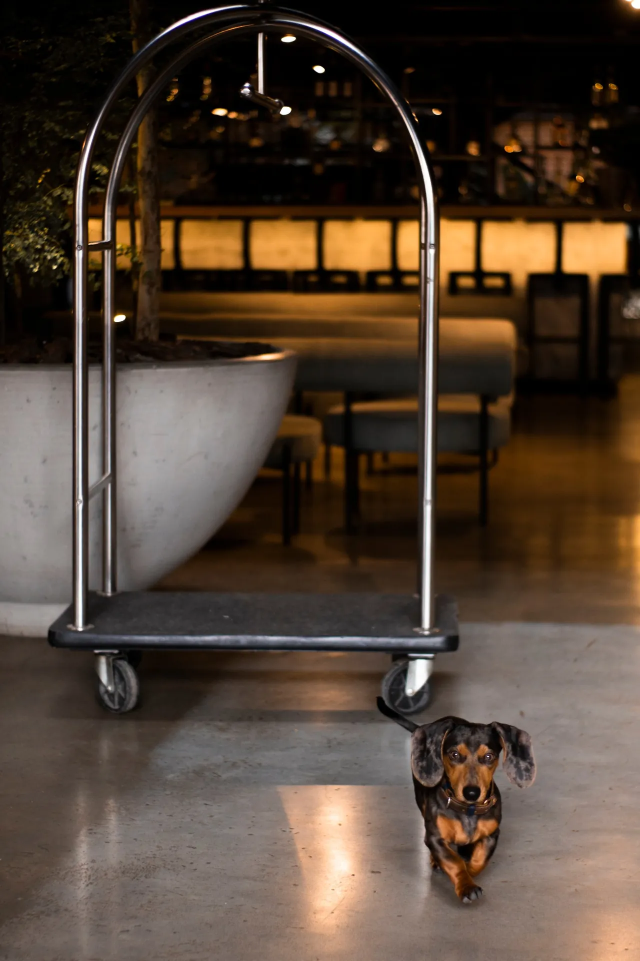 The Art Hotel