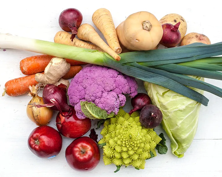 Racimo de verduras frescas: coliflor morada, br&oacute;coli y r&aacute;banos sobre fondo blanco