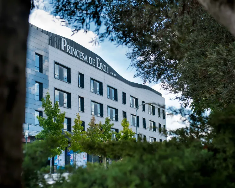 Edificio &ldquo;Princesa de Eboli&rdquo; con &aacute;rboles y cielo azul al fondo.