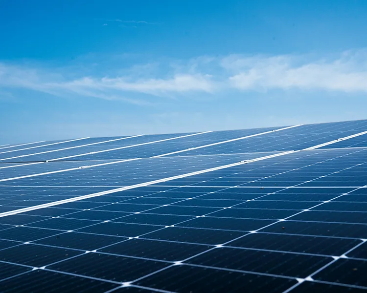 Paneles solares sobre un campo con cielo azul y nubes leves
