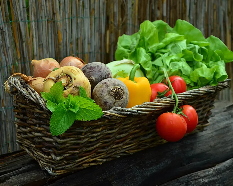 Canasta con verduras frescas: betabeles, tomates, lechuga y ajo.