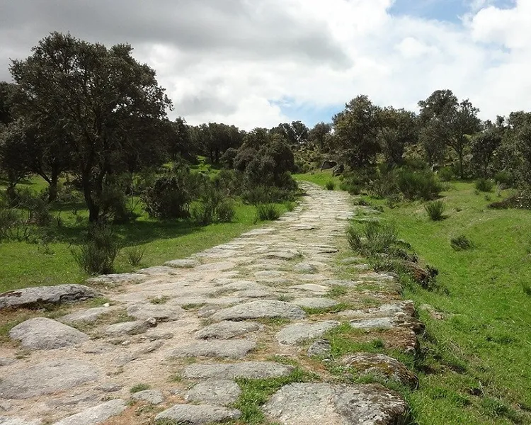 Camino de piedra en medio de praderas y &aacute;rboles bajo cielo nublado