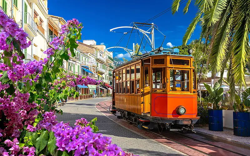 Tranv&iacute;a naranja con flores moradas y palmeras al fondo, en la calle.