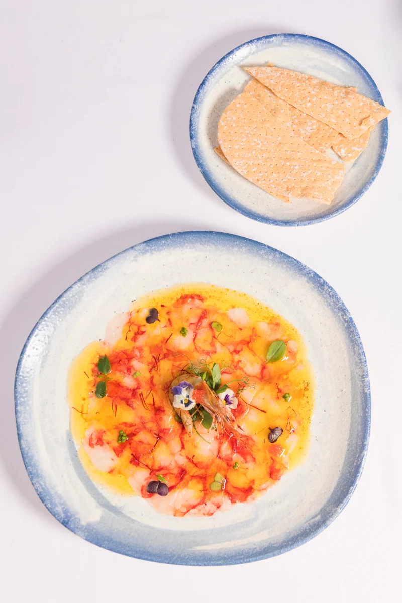 Dos platos con sopa colorida y pan tostado, sobre fondo claro