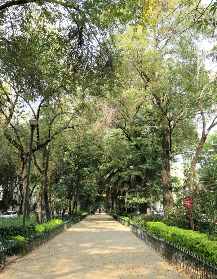 Camino arbolado en un parque, con faroles y vegetaci&oacute;n verde a ambos lados