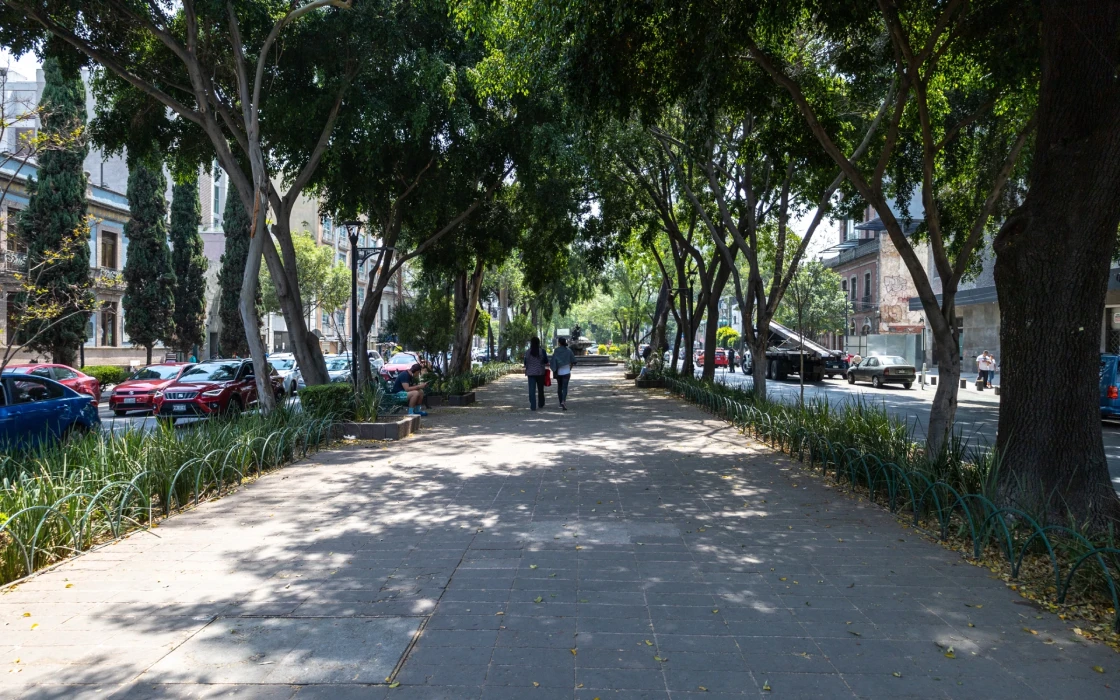 Avenida arbolada con banqueta, autos estacionados y dos peatones caminando.