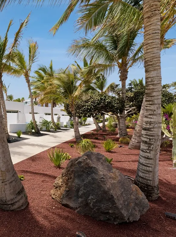 Hibiscus Hotels