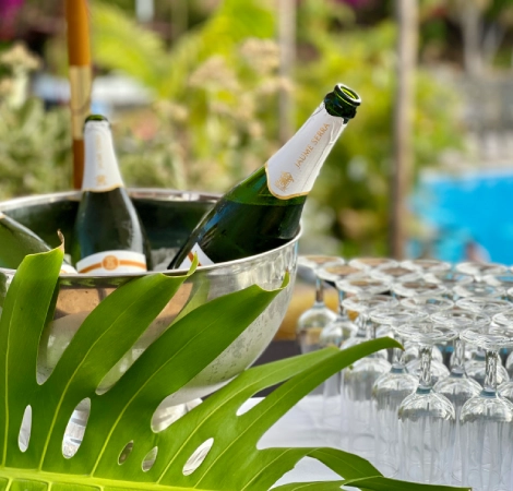 Botellas de champ&aacute;n en una cubeta sobre mesa con vasos, al aire libre.