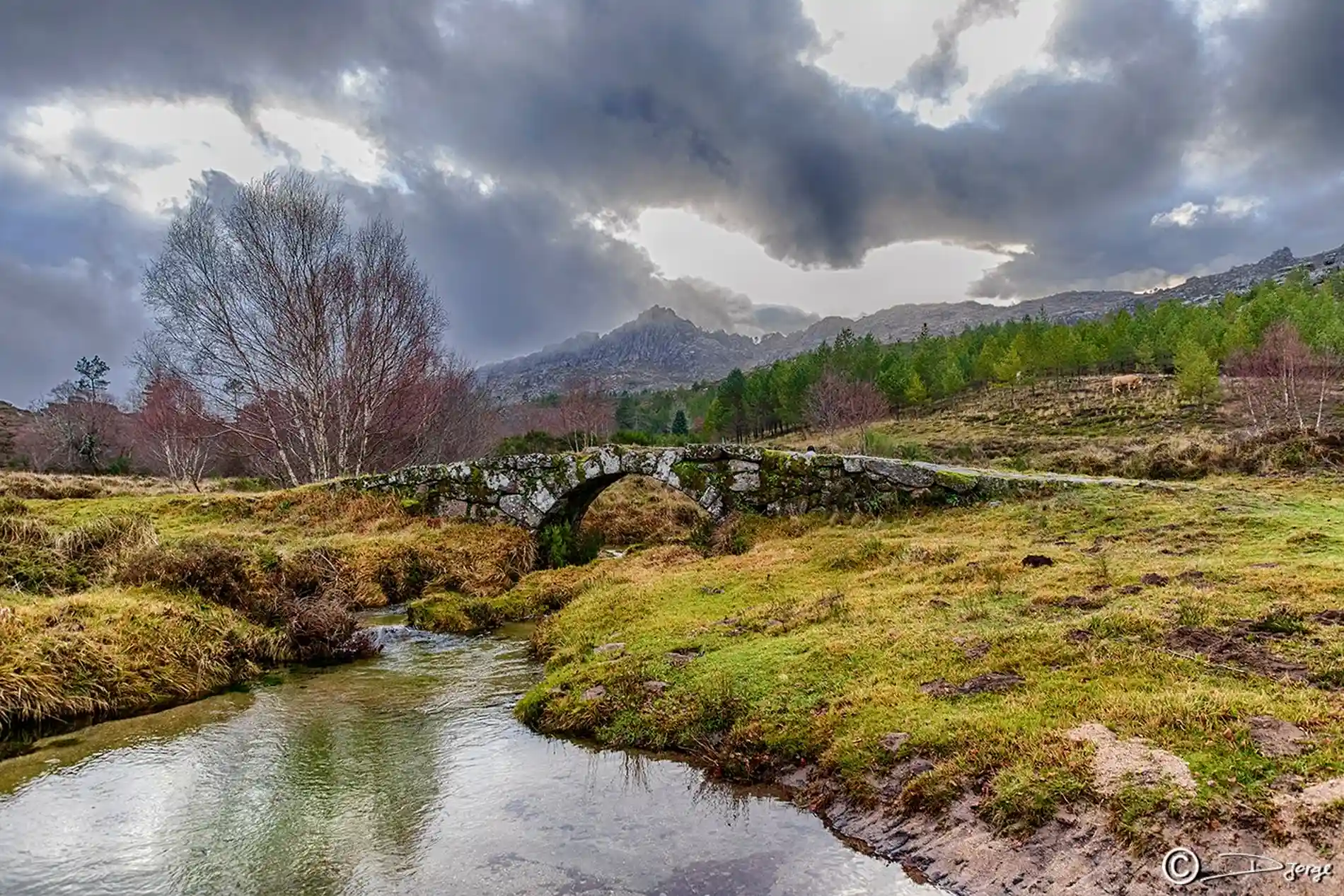 Paisagem rural com riacho, árvores e montanhas sob nuvens escuras