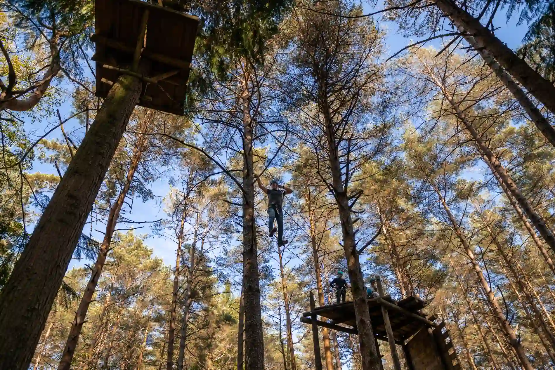 Pessoas em tirolesa entre árvores, vista do céu no parque de aventura