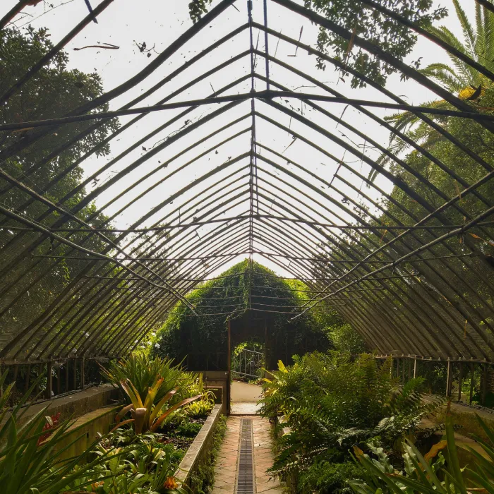 Invernadero con techo abovedado de metal y plantas verdes al fondo