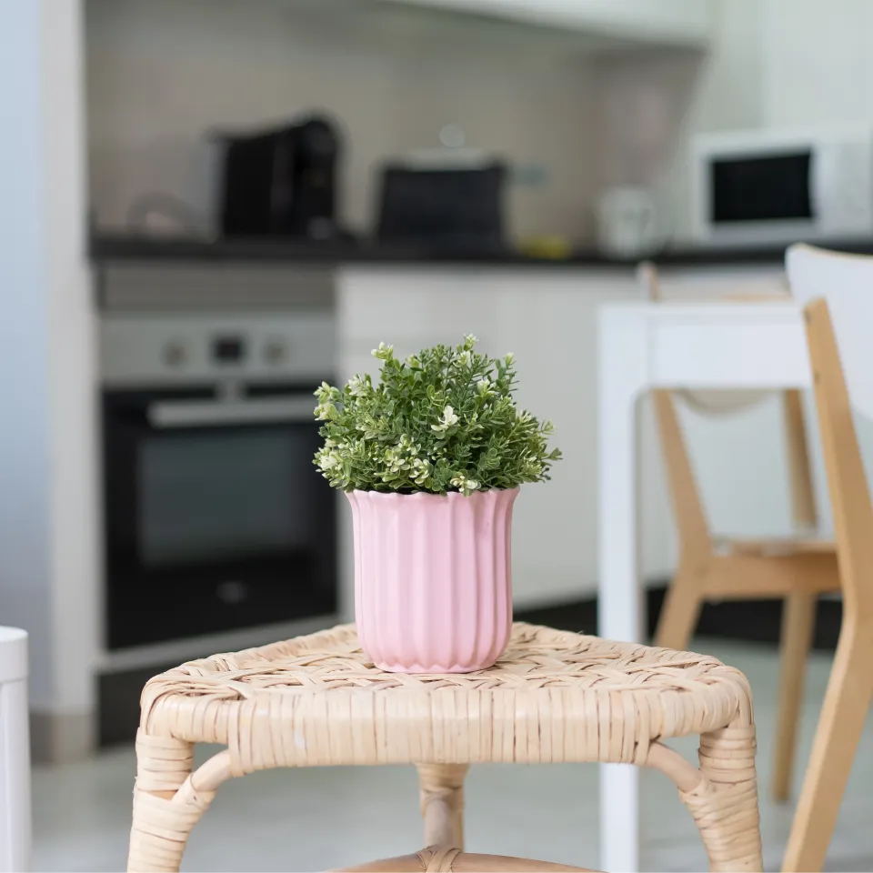 Flor verde en maceta rosa sobre silla de mimbre en cocina blanca