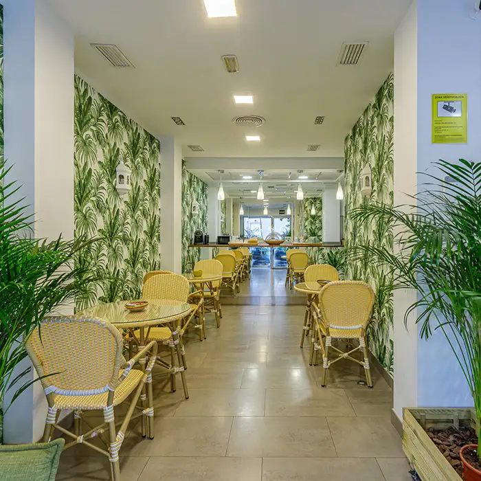 Pasillo interior con plantas y sillas amarillas, techo con luces y fondo verde