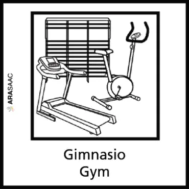 Ilustraci&oacute;n de gimnasio con pesas, banco y mancuernas.