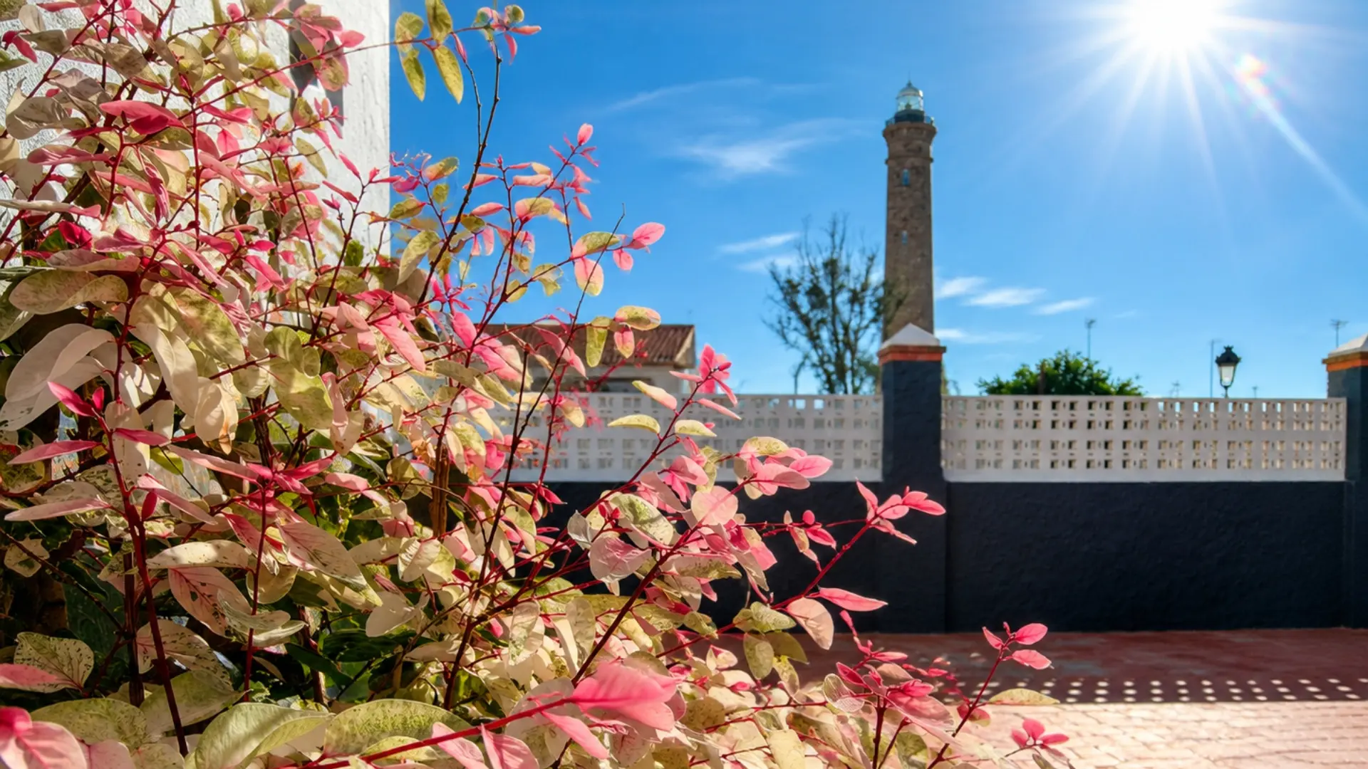 Flores rosadas en primer plano con la torre de un edificio al fondo