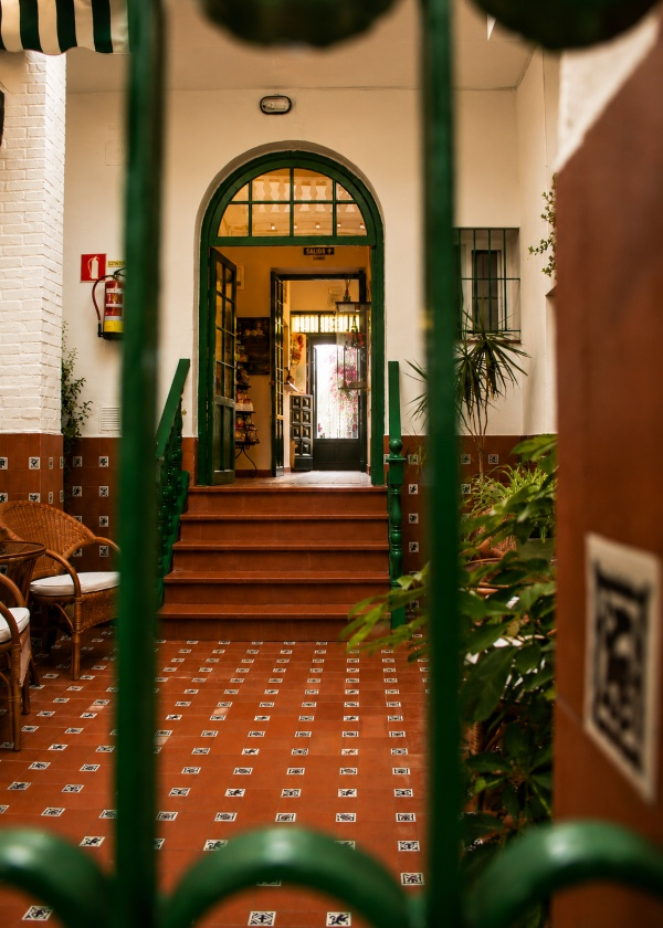 Pasillo interior con escaleras y puerta al fondo, decorado con plantas.
