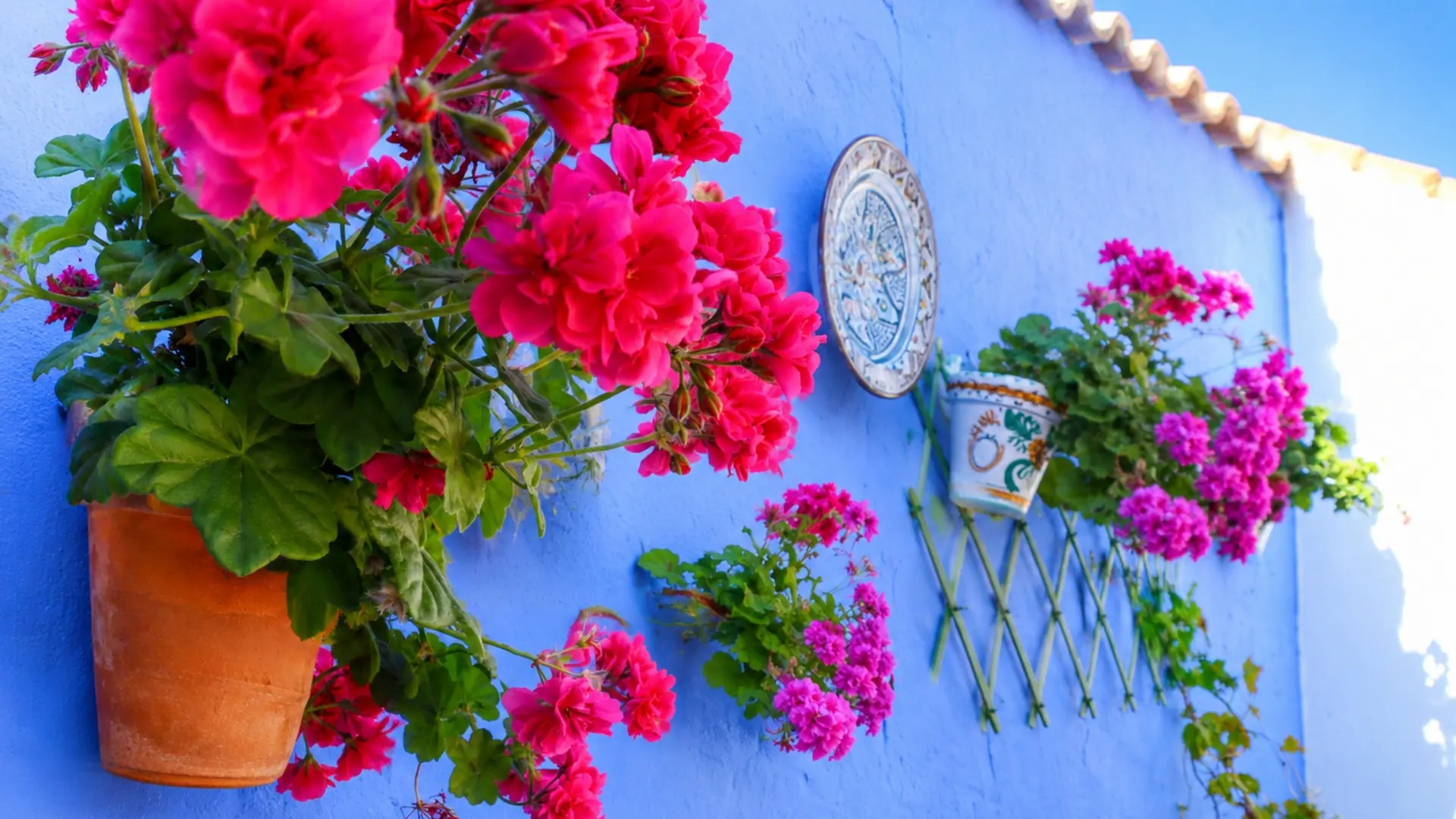 Ramo de flores rosas junto a pared azul decorada con maceta y cer&aacute;mica