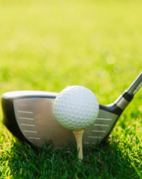 Pelota de golf sobre el c&eacute;sped junto a un palo abierto