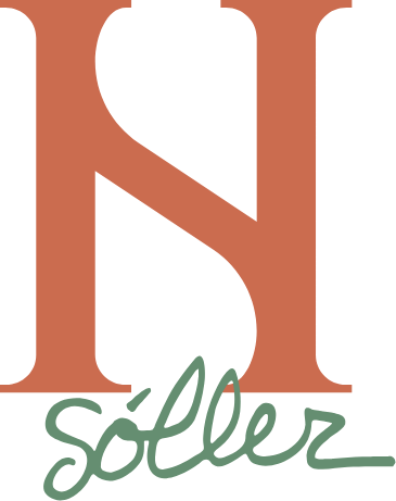 Logo con letra &ldquo;N&rdquo; en negro y texto &ldquo;Soler&rdquo; en verde cursivo sobre fondo naranja