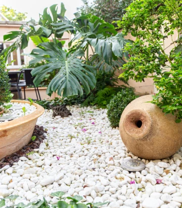 Jardín con grava blanca, plantas verdes y una pieza de corcho decorativa.