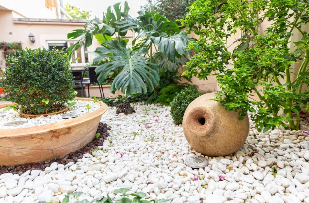 Jardín con grava blanca, plantas verdes y una vasija de barro decorativa