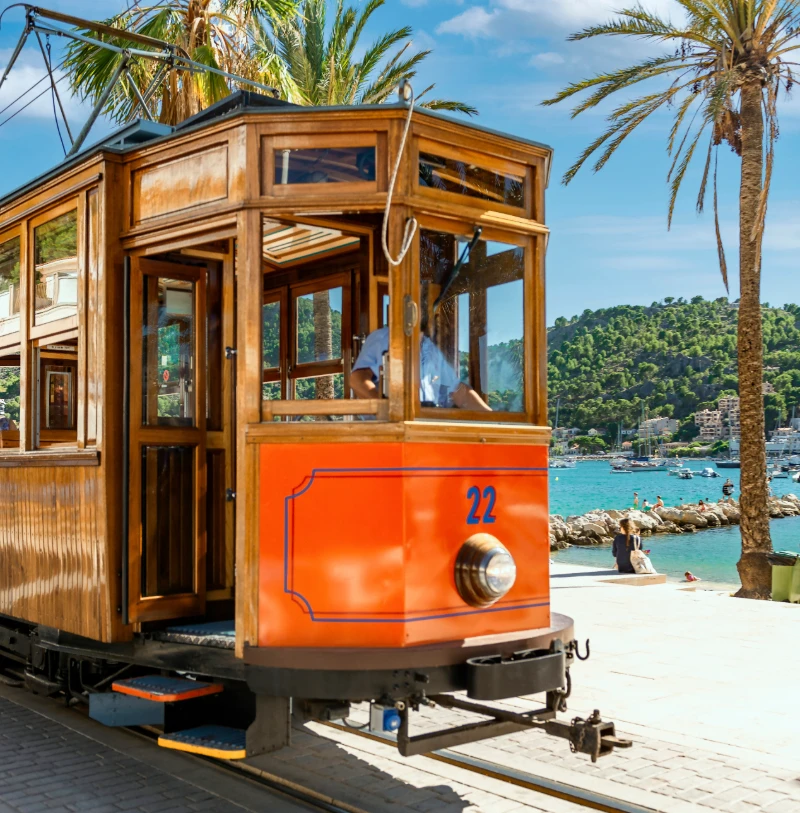 Tren tur&iacute;stico naranja y madera n&uacute;mero 22 frente al mar con palmeras.