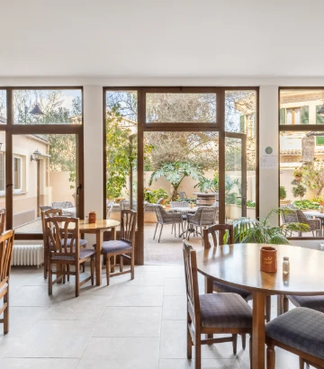Comedor con mesas y sillas, rodeado de ventanales con luz natural.
