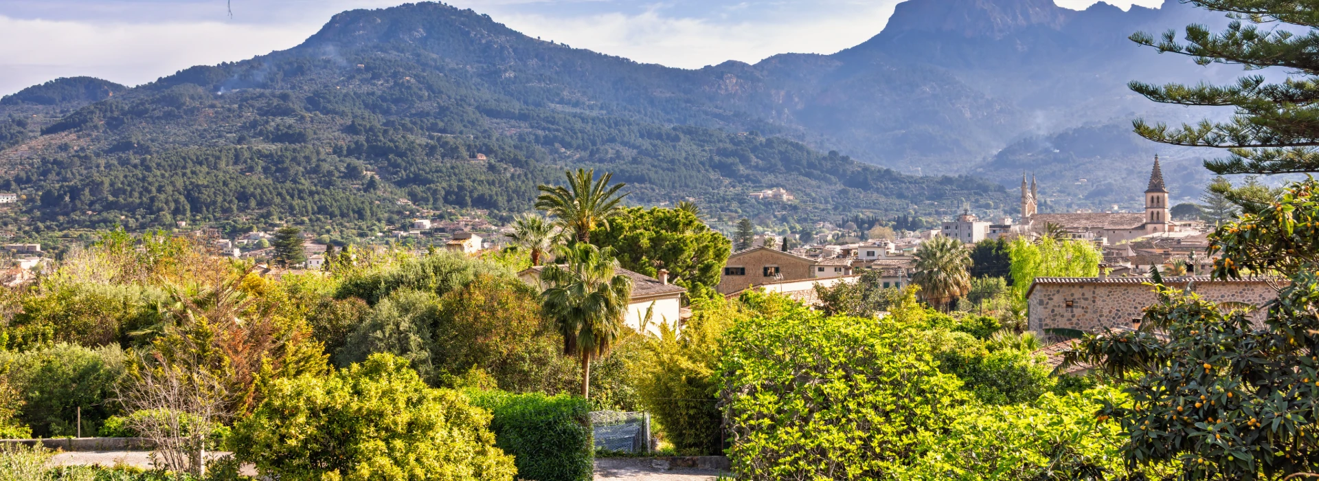 Paisaje mediterráneo con palmeras, pueblo y montañas al atardecer