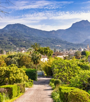 Camino entre jardines con palmeras y montañas al fondo bajo el cielo azul