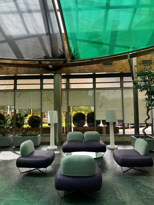 Sala con sillones verdes y negros, luz natural y plantas en el exterior.