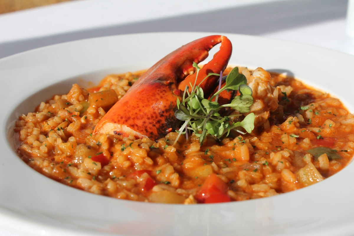 Plato de risotto con mejillones rojos y guarnici&oacute;n de brotes verdes
