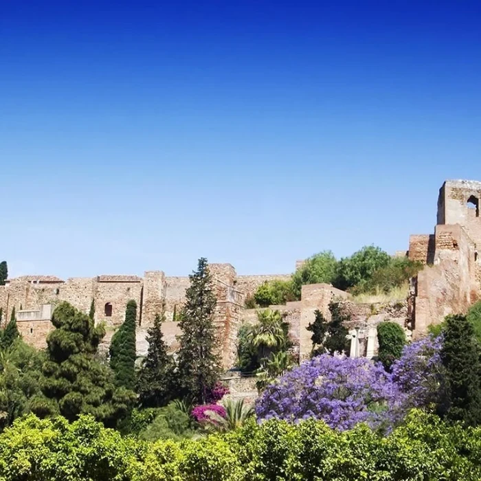Jardín con flores moradas y ruinas antiguas bajo cielo azul