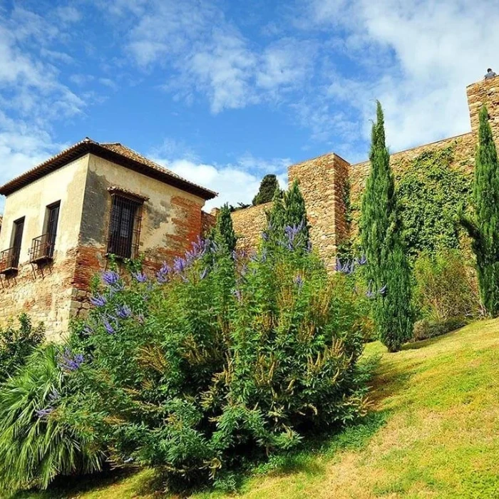 Jardín con arbustos y flores junto a muros de piedra y casas rurales.