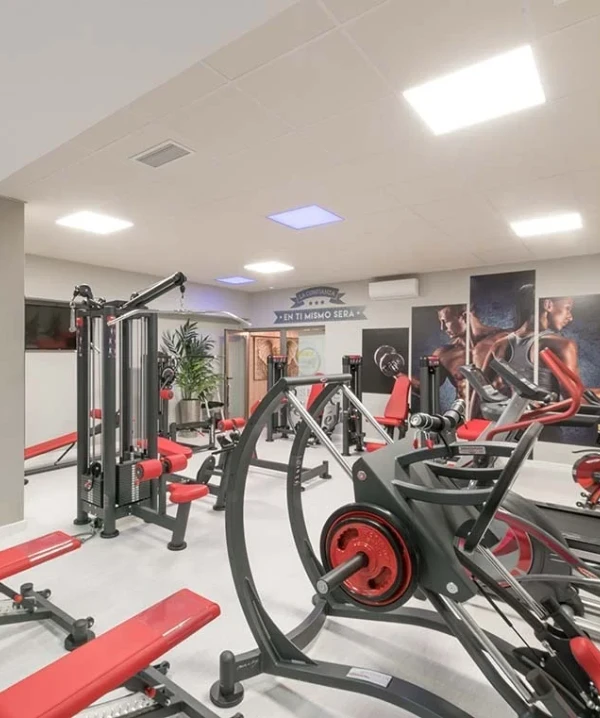 Gimnasio con m&aacute;quinas de fuerza y cardio, mancuernas y barras rojas