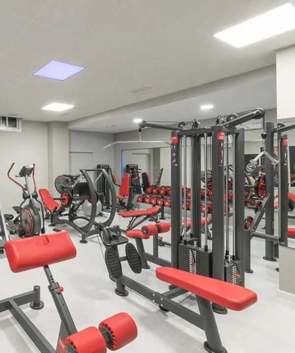 Sala de gimnasio con m&aacute;quinas de pesas y bancos rojos y grises.
