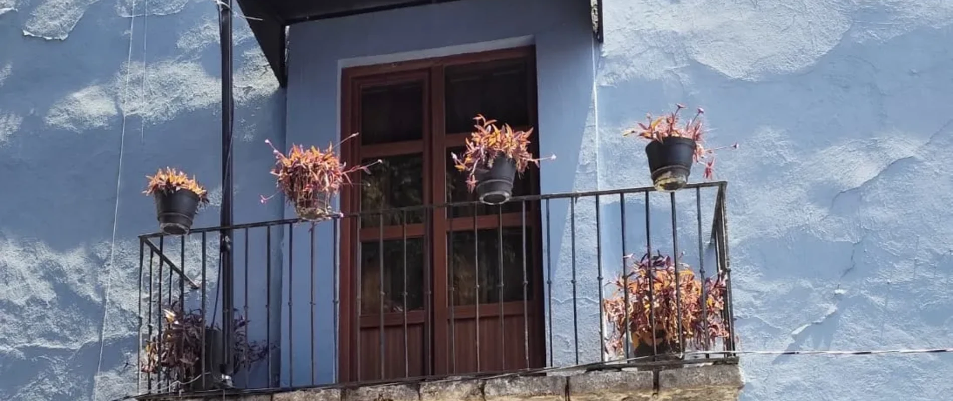 Macetas con flores naranjas en balc&oacute;n de pared azul y puerta de madera