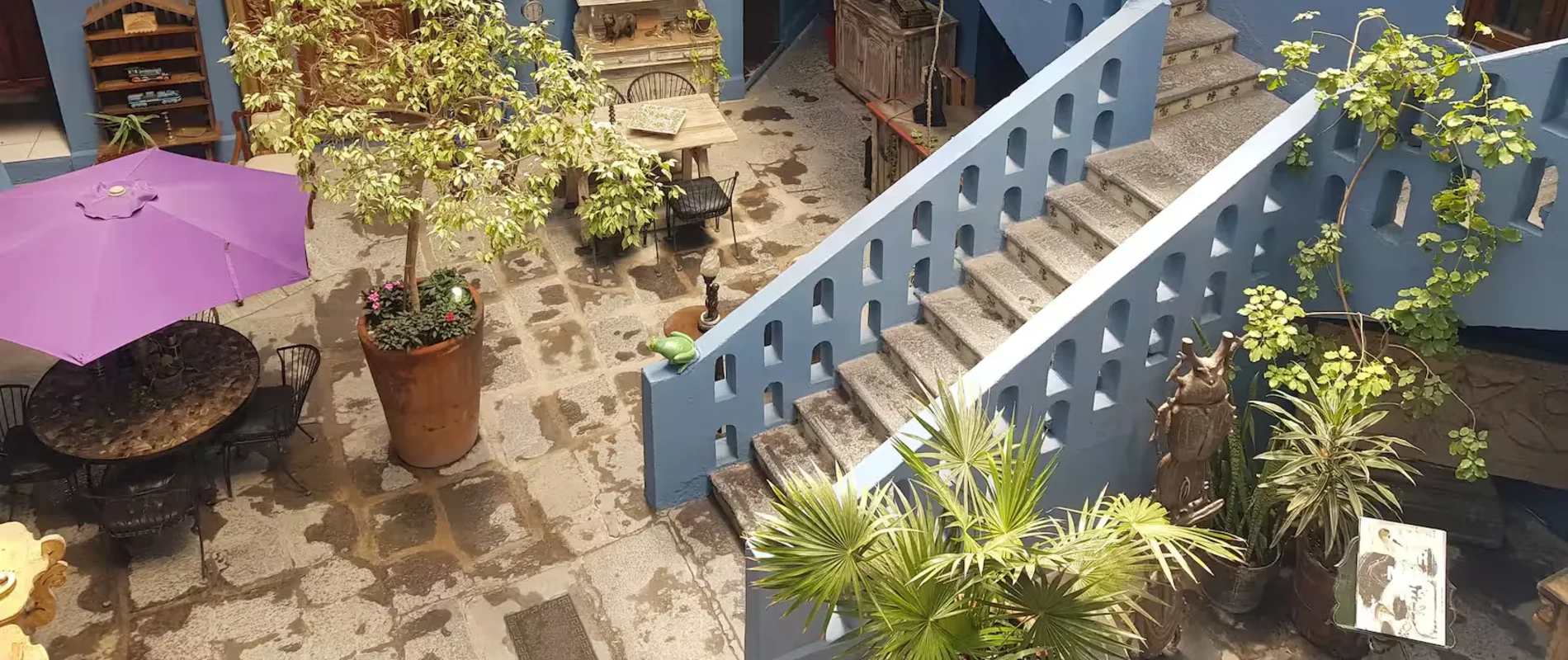 Patio con escalera, plantas verdes y sombrilla morada, vista desde arriba.