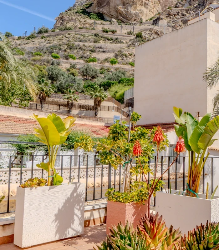 Terraza con plantas tropicales, macetas y pared junto a una monta&ntilde;a rocosa