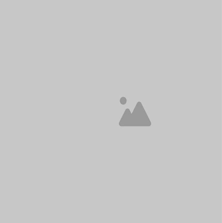 Placeholder image icon with mountains and sun on a gray background