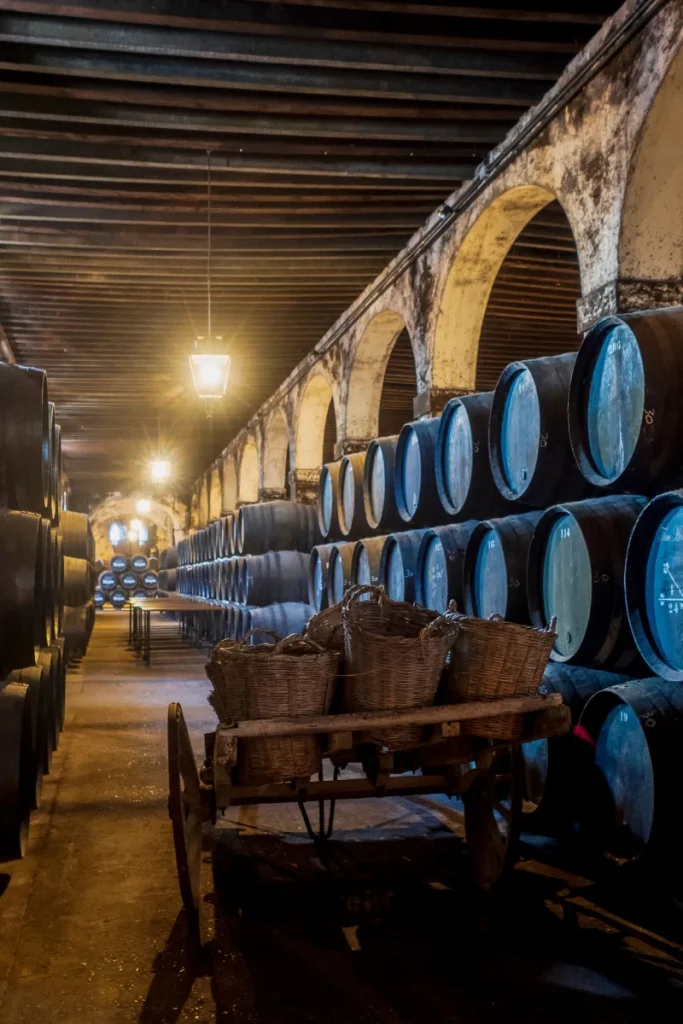 Pasillo de bodega con barriles de vino en filas bajo arcos y faroles