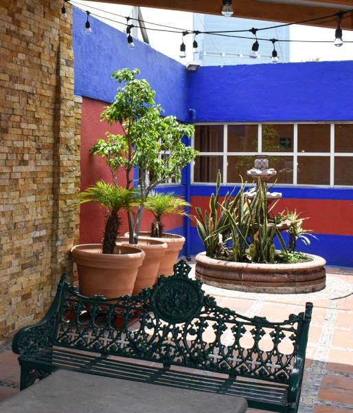 Patio con macetas y bancos bajo un toldo azul y guirnalda de luces.