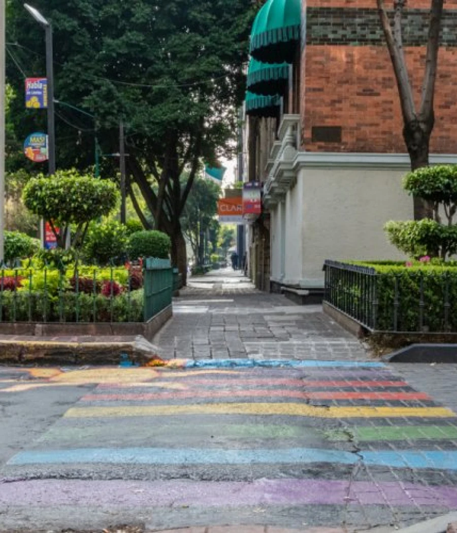 Sendero peatonal con jardineras, semáforo y edificios en la ciudad.