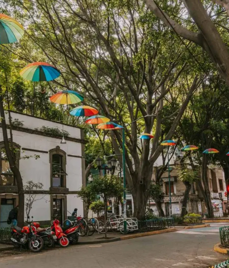 Sombrillas de colores en la calle junto a árboles y motos estacionadas.