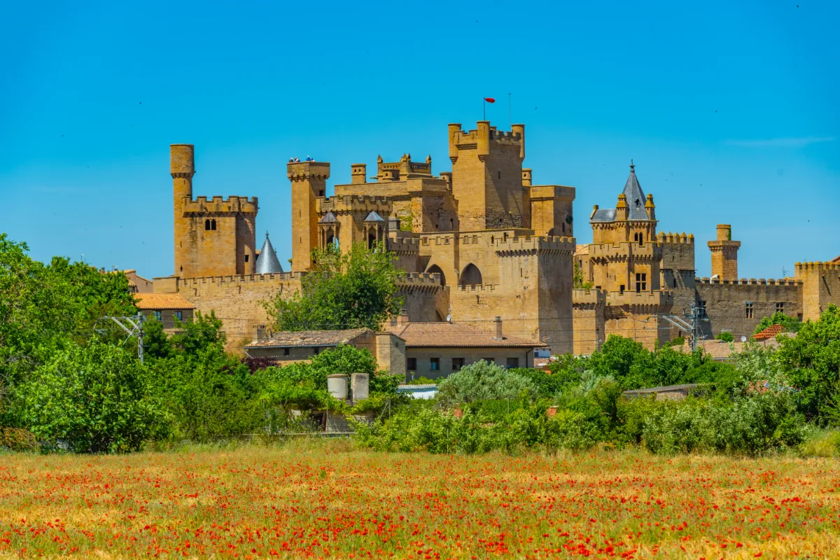 Castillo medieval con torres y bander&iacute;n sobre un campo de flores.