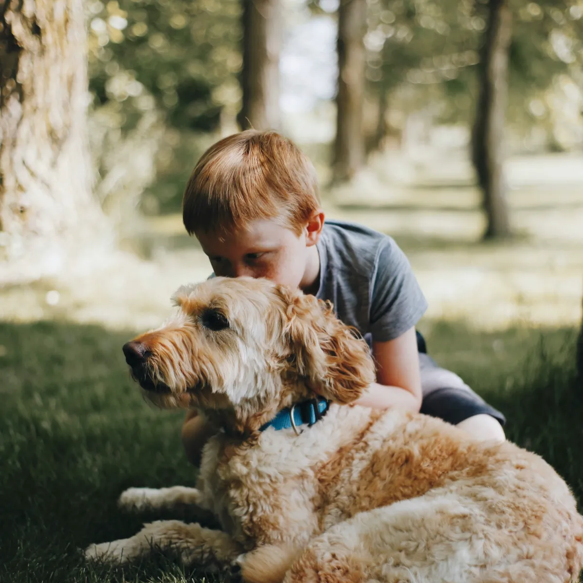 Ni&ntilde;o abrazando a un perro mestizo en el jard&iacute;n, al aire libre