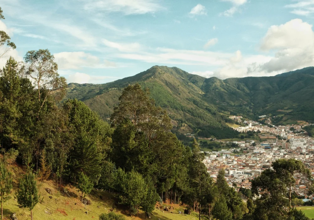 Paisaje monta&ntilde;oso con bosque y un pueblo al pie de la sierra.