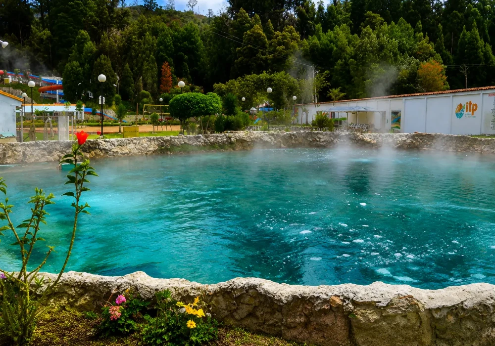 Piscina turquesa al aire libre con vapor, plantas y &aacute;rboles al fondo