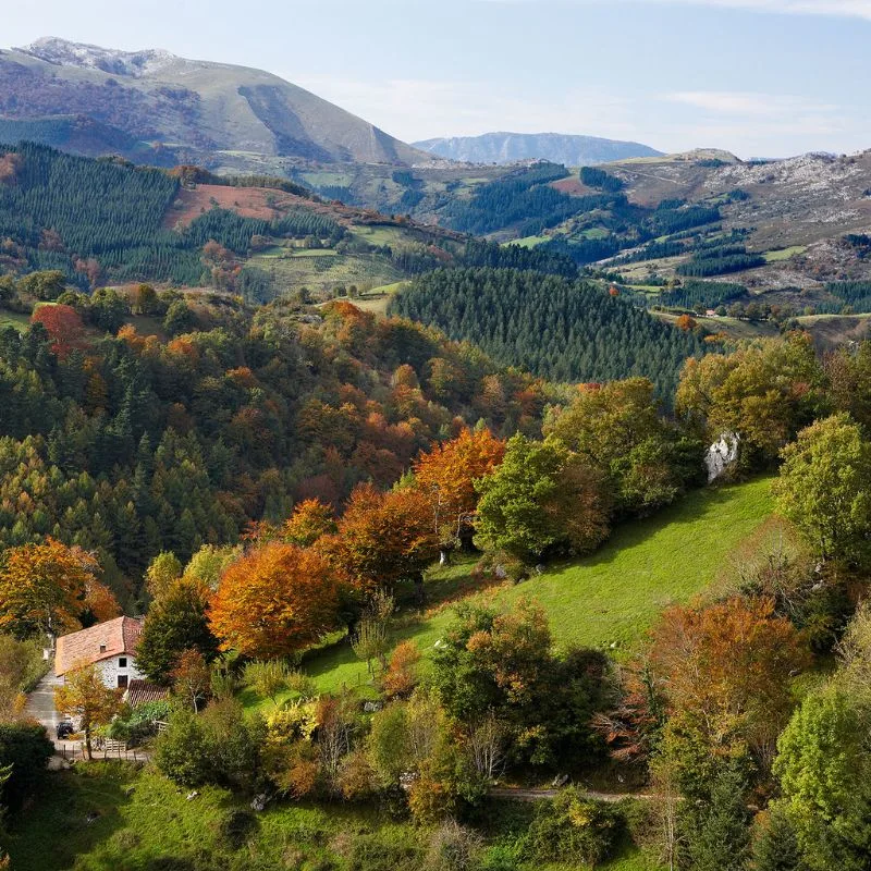 Paisaje de monta&ntilde;a con praderas verdes, bosques oto&ntilde;ales y caba&ntilde;a entre valles